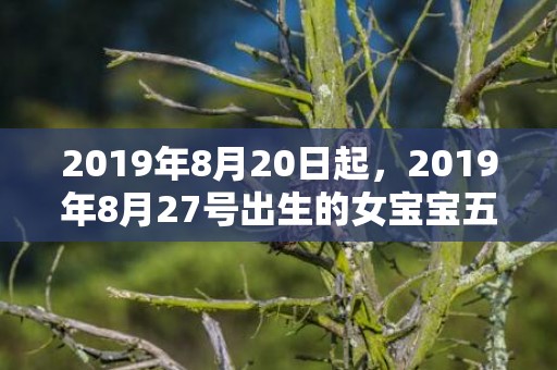 2019年8月20日起，2019年8月27号出生的女宝宝五行缺金要怎么起名字