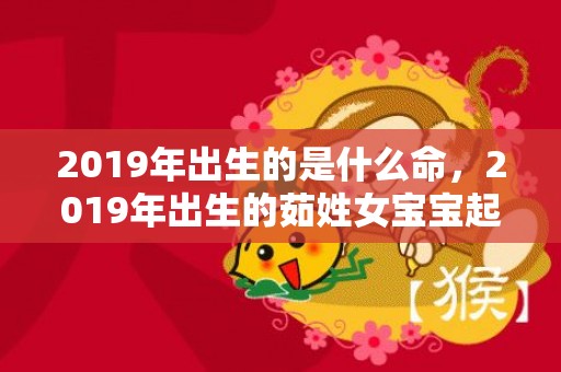 2019年出生的是什么命，2019年出生的茹姓女宝宝起名方法，好听名字