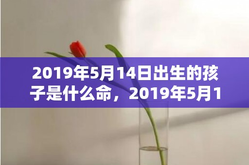 2019年5月14日出生的孩子是什么命，2019年5月13号未时出生的女孩取名的方法