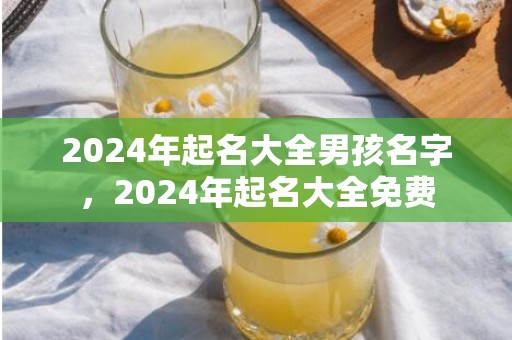 2024年起名大全男孩名字，2024年起名大全免费