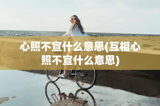 心照不宣什么意思(互相心照不宣什么意思)