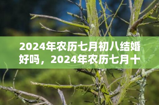 2024年农历七月初八结婚好吗，2024年农历七月十一日对应的星座是什么