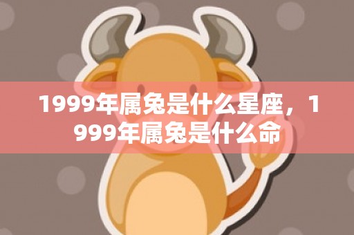 1999年属兔是什么星座，1999年属兔是什么命