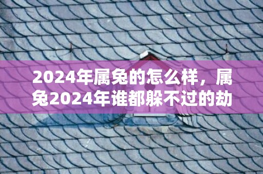 2024年属兔的怎么样，属兔2024年谁都躲不过的劫难