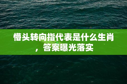 懵头转向指代表是什么生肖，答案曝光落实插图