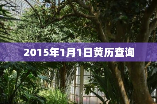 2015年1月1日黄历查询