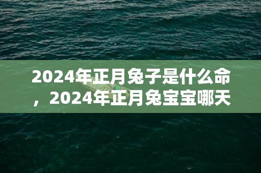 2024年正月兔子是什么命，2024年正月兔宝宝哪天出生好