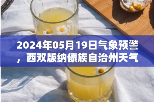 2024年05月19日气象预警，西双版纳傣族自治州天气预报 大部多云