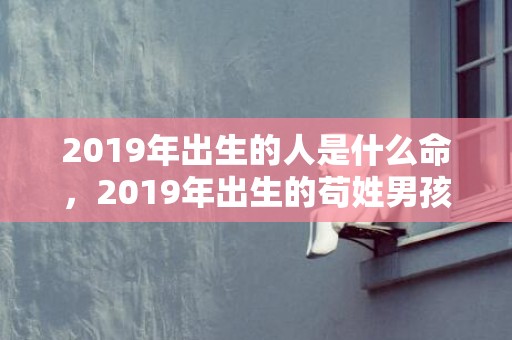 2019年出生的人是什么命，2019年出生的苟姓男孩如何起名字，姓苟男孩好听的名字