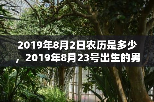 2019年8月2日农历是多少，2019年8月23号出生的男宝宝五行缺木要如何起名字