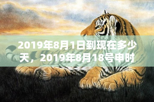 2019年8月1日到现在多少天，2019年8月18号申时出生的男孩五行属的是什么