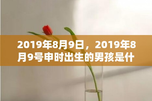 2019年8月9日，2019年8月9号申时出生的男孩是什么名字好听