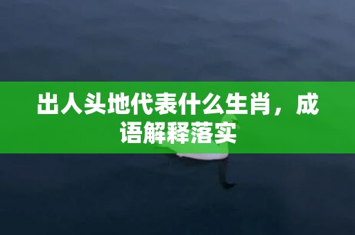 出人头地代表什么生肖，成语解释落实