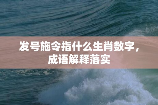 发号施令指什么生肖数字，成语解释落实