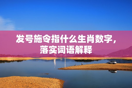 发号施令指什么生肖数字，落实词语解释