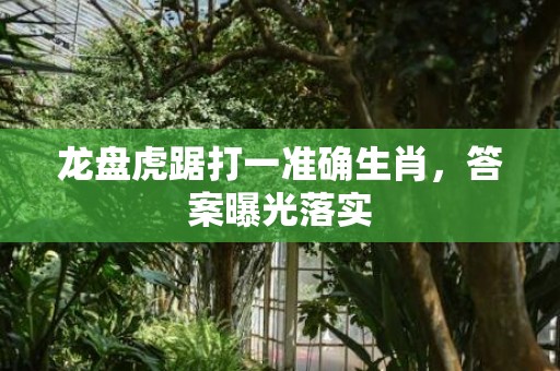 龙盘虎踞打一准确生肖，答案曝光落实