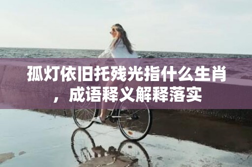 孤灯依旧托残光指什么生肖，成语释义解释落实