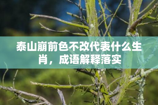 泰山崩前色不改代表什么生肖，成语解释落实