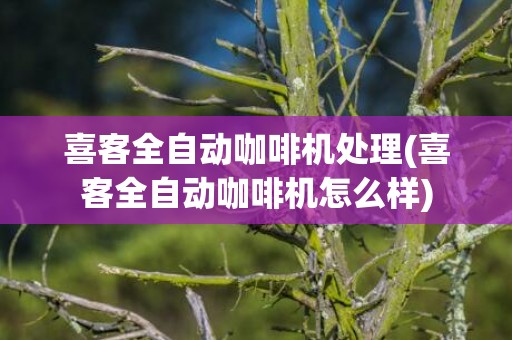 喜客全自动咖啡机处理(喜客全自动咖啡机怎么样)