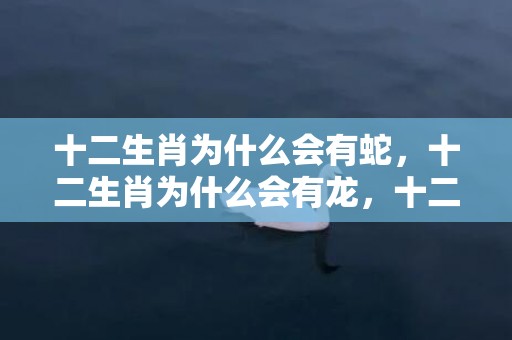 十二生肖为什么会有蛇，十二生肖为什么会有龙，十二生肖的故事