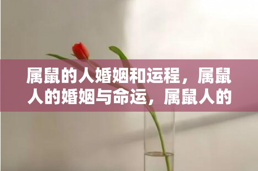 属鼠的人婚姻和运程，属鼠人的婚姻与命运，属鼠人的婚姻最佳配偶