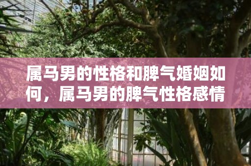 属马男的性格和脾气婚姻如何，属马男的脾气性格感情，属马的和什么属相最配