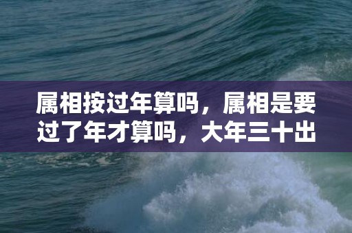 属相按过年算吗，属相是要过了年才算吗，大年三十出生属相怎么算