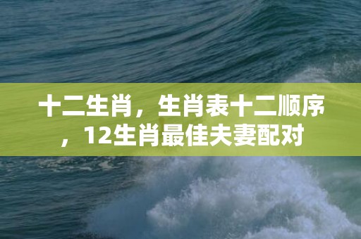 十二生肖，生肖表十二顺序，12生肖最佳夫妻配对