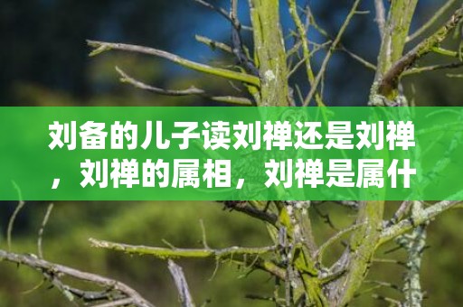 刘备的儿子读刘禅还是刘禅，刘禅的属相，刘禅是属什么生肖的