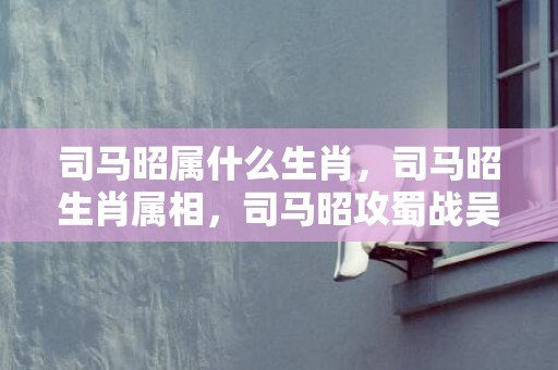 司马昭属什么生肖，司马昭生肖属相，司马昭攻蜀战吴