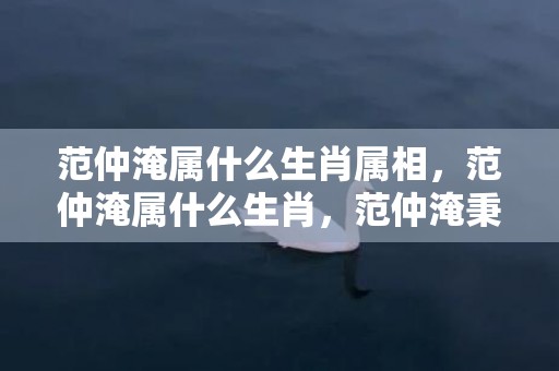 范仲淹属什么生肖属相，范仲淹属什么生肖，范仲淹秉公直言