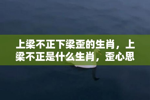 上梁不正下梁歪的生肖，上梁不正是什么生肖，歪心思多的生肖