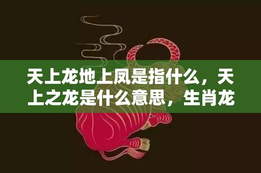 天上龙地上凤是指什么，天上之龙是什么意思，生肖龙的五种类型