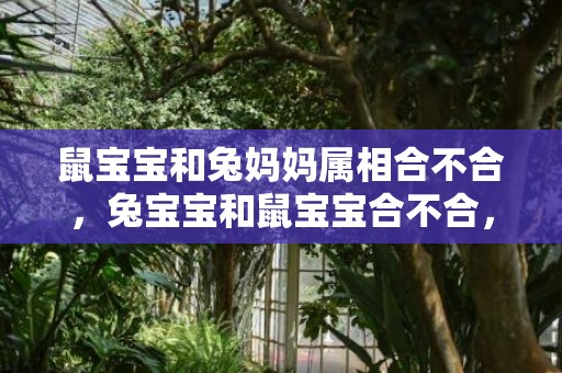 鼠宝宝和兔妈妈属相合不合，兔宝宝和鼠宝宝合不合，鼠兔相刑什么意思