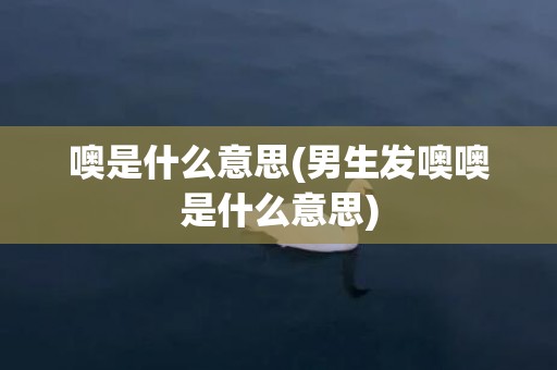 噢是什么意思(男生发噢噢是什么意思)