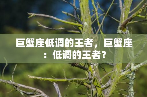 巨蟹座低调的王者，巨蟹座：低调的王者？