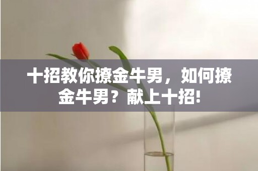 十招教你撩金牛男，如何撩金牛男？献上十招!