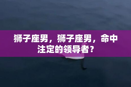 狮子座男，狮子座男，命中注定的领导者？