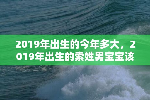 2019年出生的今年多大，2019年出生的索姓男宝宝该如何起名字，宜用什么字。