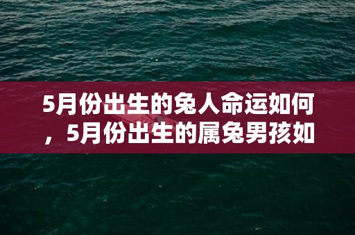 5月份出生的兔人命运如何，5月份出生的属兔男孩如何取名字