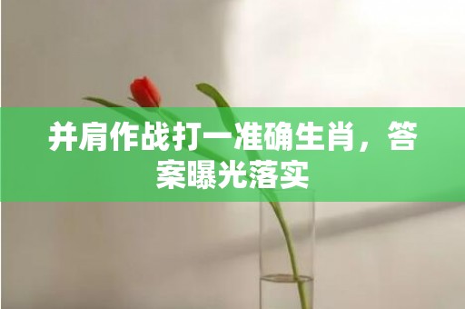 并肩作战打一准确生肖，答案曝光落实