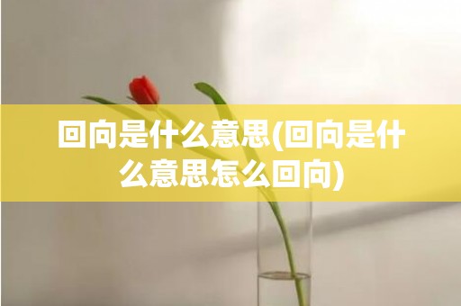 回向是什么意思(回向是什么意思怎么回向)