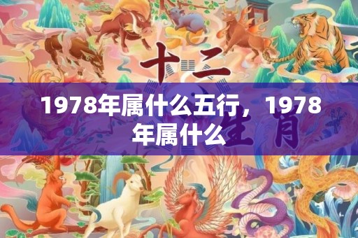 1978年属什么五行，1978年属什么