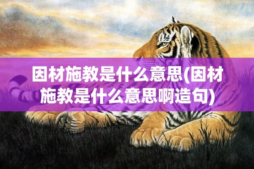 因材施教是什么意思(因材施教是什么意思啊造句)