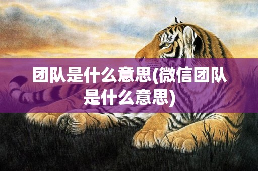 团队是什么意思(微信团队是什么意思)