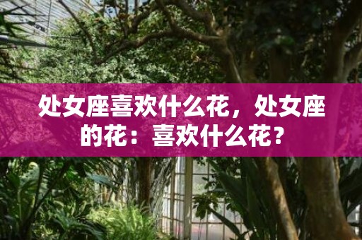 处女座喜欢什么花，处女座的花：喜欢什么花？