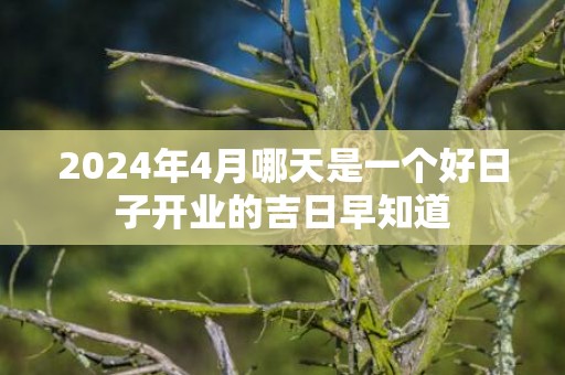 2024年4月哪天是一个好日子开业的吉日早知道