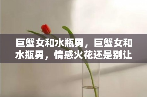 巨蟹女和水瓶男，巨蟹女和水瓶男，情感火花还是别让差异扑灭？