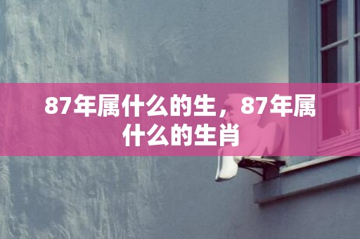 87年属什么的生，87年属什么的生肖