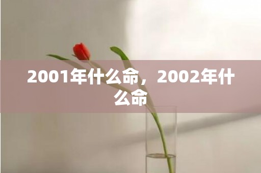 2001年什么命，2002年什么命